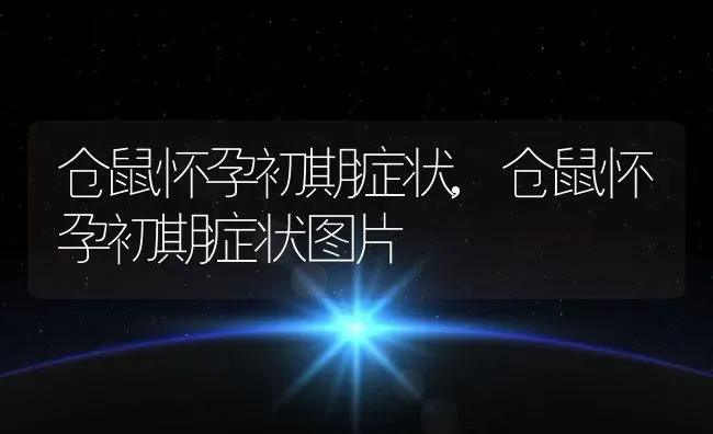 仓鼠怀孕初期症状,仓鼠怀孕初期症状图片 | 养殖科普