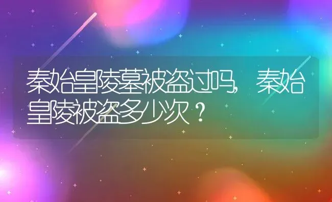 秦始皇陵墓被盗过吗,秦始皇陵被盗多少次？ | 养殖科普