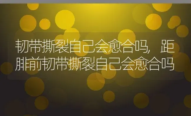 韧带撕裂自己会愈合吗,距腓前韧带撕裂自己会愈合吗 | 养殖科普