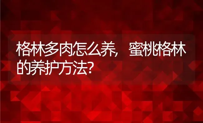 格林多肉怎么养,蜜桃格林的养护方法？ | 养殖科普