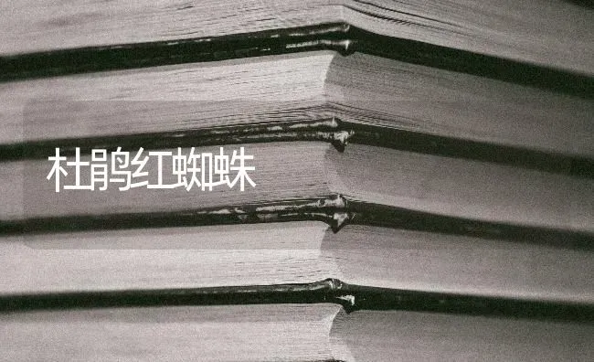杜鹃红蜘蛛 | 养殖技术大全