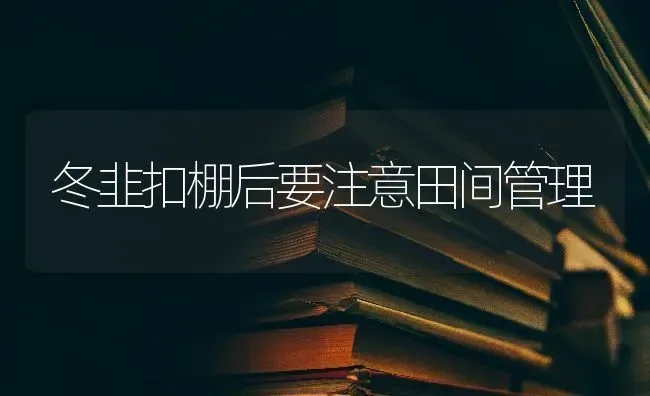冬韭扣棚后要注意田间管理 | 养殖技术大全