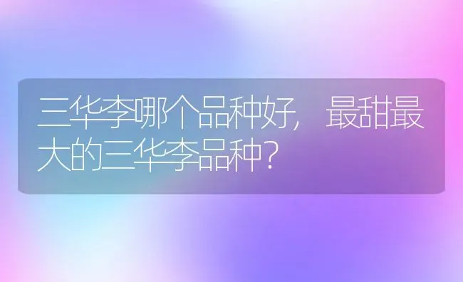 三华李哪个品种好,最甜最大的三华李品种？ | 养殖科普