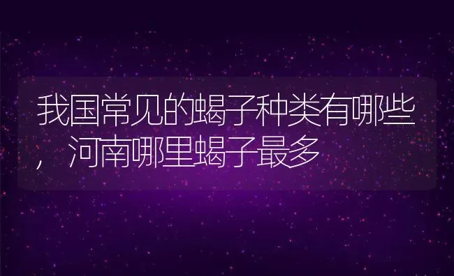 我国常见的蝎子种类有哪些,河南哪里蝎子最多 | 养殖学堂