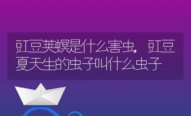 豇豆荚螟是什么害虫,豇豆夏天生的虫子叫什么虫子 | 养殖学堂