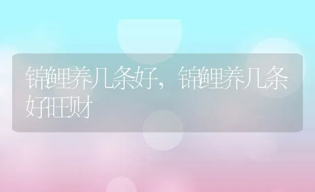 螨虫长什么样,螨虫长什么样子的图片 | 养殖科普