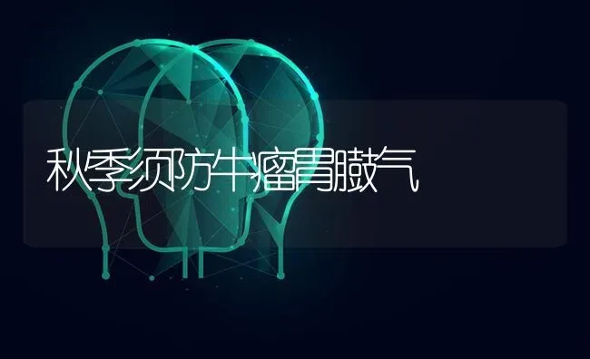 秋季须防牛瘤胃臌气 | 养殖知识