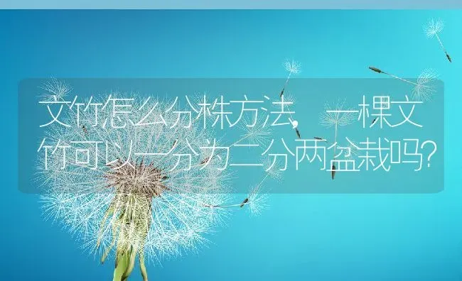 七星瓢虫是昆虫吗,七星瓢虫是昆虫吗?为什么 | 养殖科普