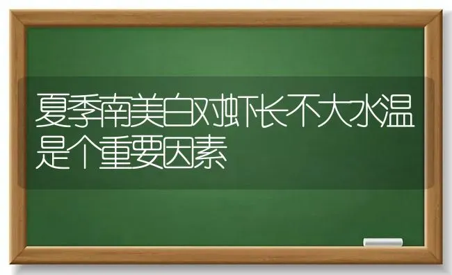 夏季南美白对虾长不大水温是个重要因素 | 养殖技术大全