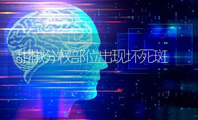 甜椒分杈部位出现坏死斑 | 养殖技术大全
