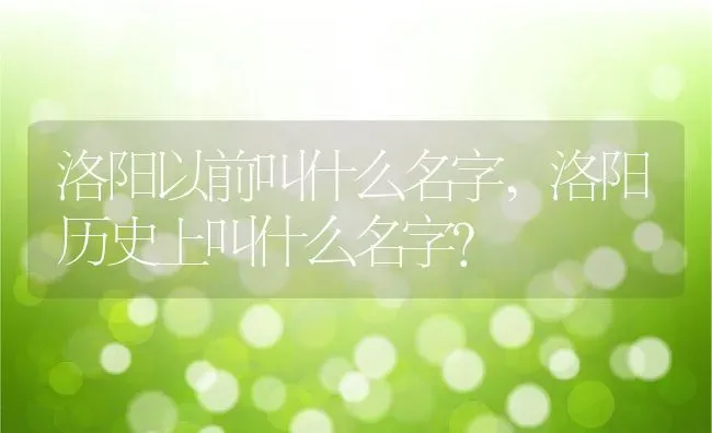 狗可以吃什么,狗可以吃什么水果 | 养殖科普