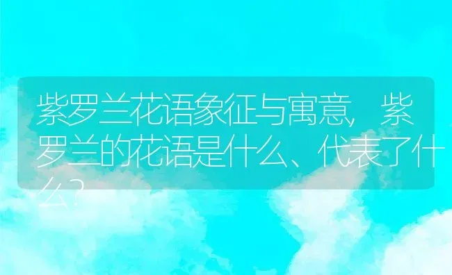 紫罗兰花语象征与寓意,紫罗兰的花语是什么、代表了什么？ | 养殖科普