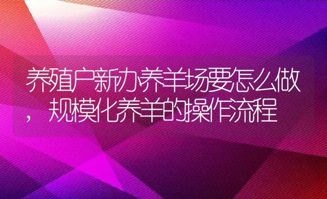 养殖户新办养羊场要怎么做,规模化养羊的操作流程 | 养殖学堂