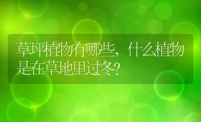 草坪植物有哪些,什么植物是在草地里过冬？ | 养殖科普