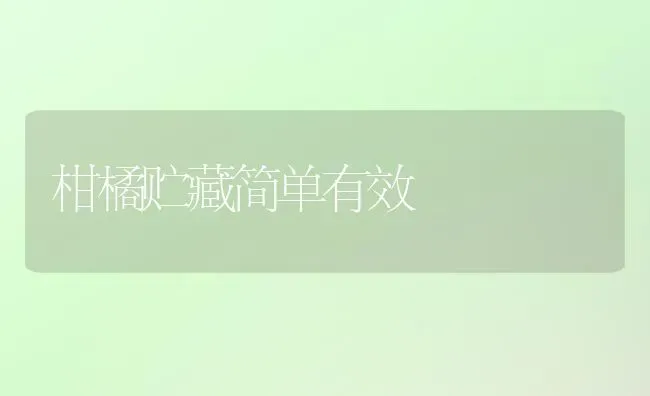 柑橘贮藏简单有效 | 养殖技术大全