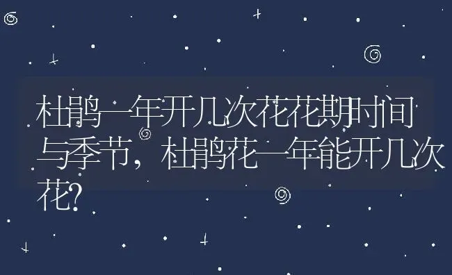 杜鹃一年开几次花花期时间与季节,杜鹃花一年能开几次花？ | 养殖科普
