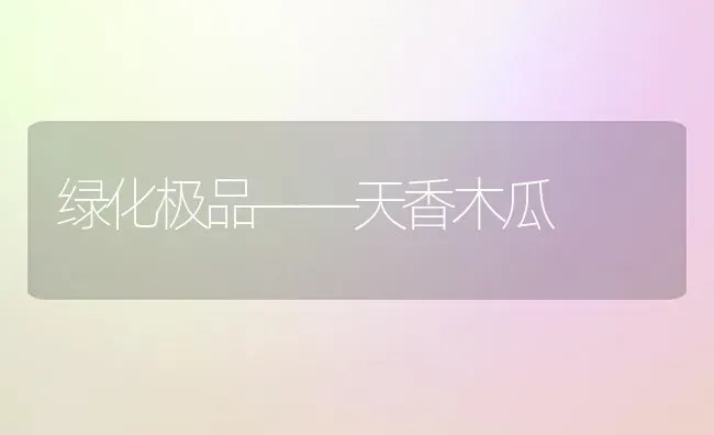 绿化极品——天香木瓜 | 养殖知识