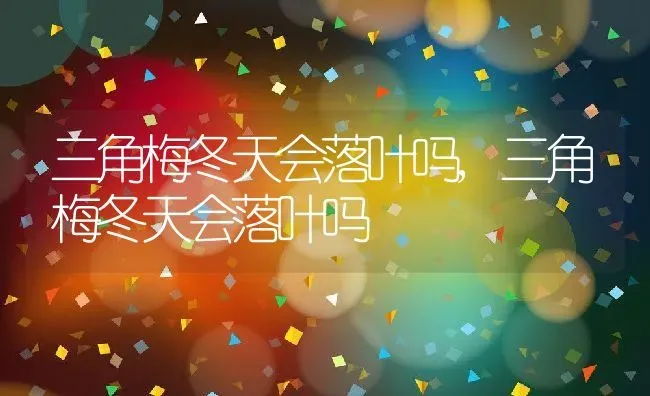 三角梅冬天会落叶吗,三角梅冬天会落叶吗 | 养殖科普