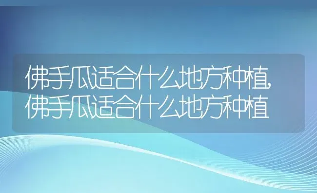 佛手瓜适合什么地方种植,佛手瓜适合什么地方种植 | 养殖科普