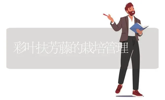 彩叶扶芳藤的栽培管理 | 养殖知识