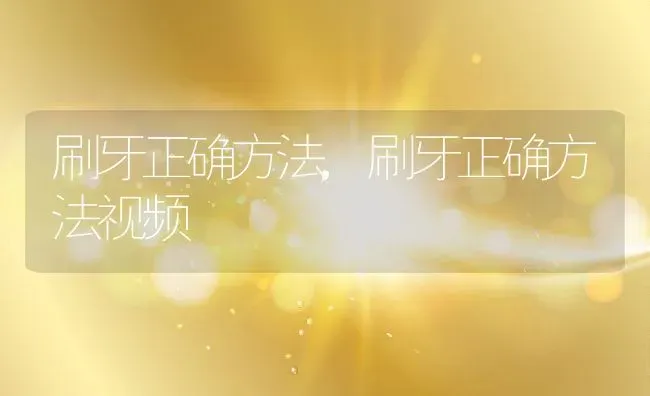 刷牙正确方法,刷牙正确方法视频 | 养殖科普