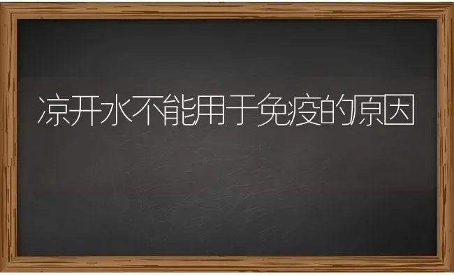 凉开水不能用于免疫的原因 | 养殖知识