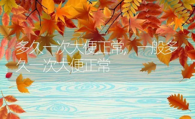 多久一次大便正常,一般多久一次大便正常 | 养殖科普