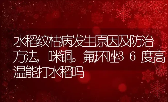 水稻纹枯病发生原因及防治方法,咪铜。氟环唑36度高温能打水稻吗 | 养殖学堂