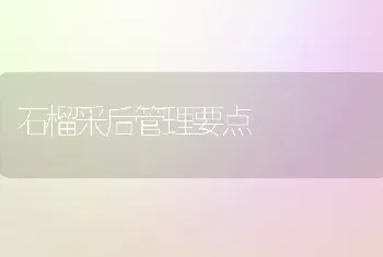 石榴采后管理要点