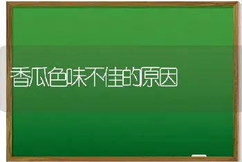 香瓜色味不佳的原因