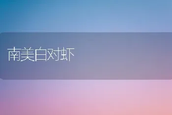 南美白对虾