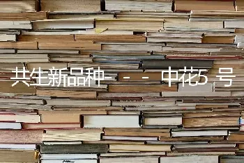 共生新品种---中花5号