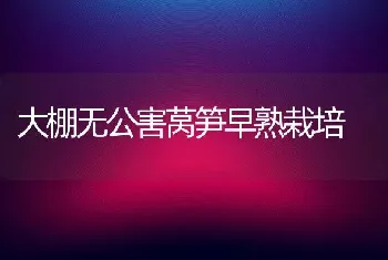 大棚无公害莴笋早熟栽培