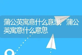 红叶生菜可以生吃吗