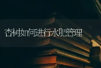 杏树如何进行水肥管理