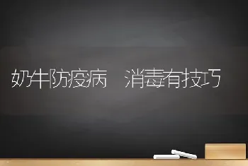 奶牛防疫病　消毒有技巧