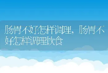 肠胃不好怎样调理