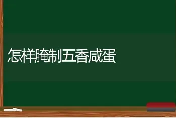 怎样腌制五香咸蛋