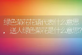 香榧是什么树结的果子