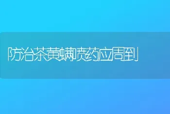 防治茶黄螨喷药应周到