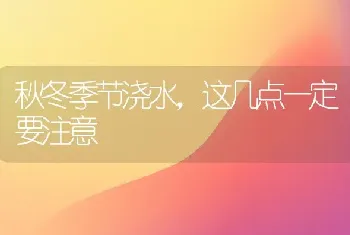 秋冬季节浇水,这几点一定要注意