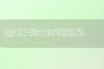 农户小型尿素氨化技术