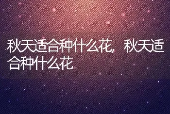 秋天适合种什么花