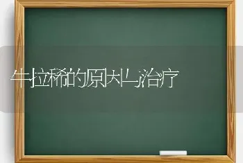 牛拉稀的原因与治疗