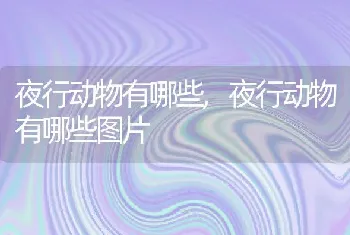 夜行动物有哪些,夜行动物有哪些图片