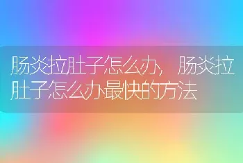 肠炎拉肚子怎么办