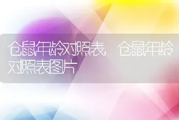 仓鼠年龄对照表