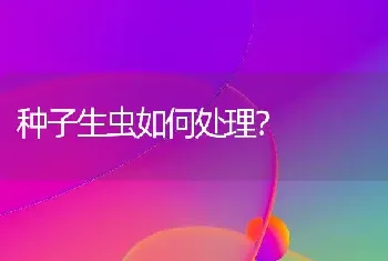 种子生虫如何处理?