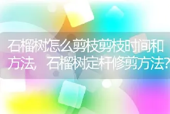 石榴树怎么剪枝剪枝时间和方法