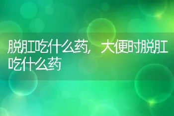 泰迪狗训练大小便,泰迪狗训练大小便视频教程